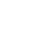 akh_bricfilled